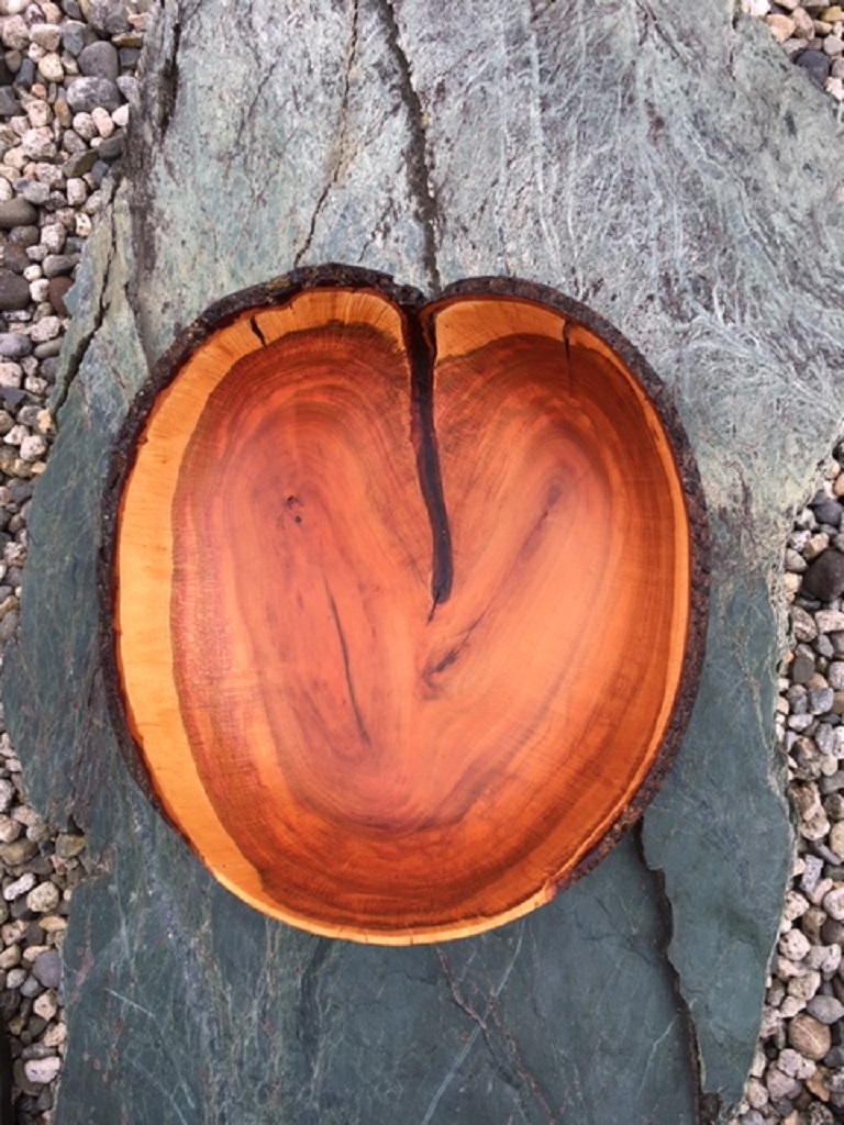 13″ Live Edge Plum Bowl with Bark Intrusion