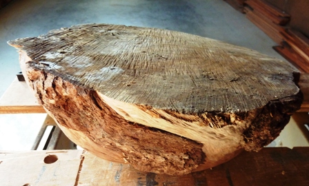 Top of burl
